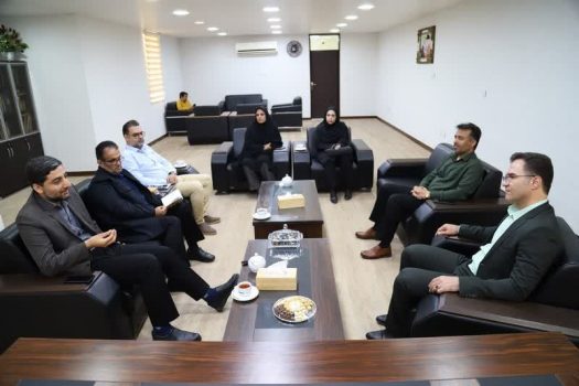 گامی برای توسعه فرهنگ در روستاها؛ پیشنهاد راه‌اندازی کتابخانه سیار در تنگستان