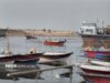 «دریابست» در استان بوشهر؛ ممنوعیت صید برای حفظ ذخائر آبزیان