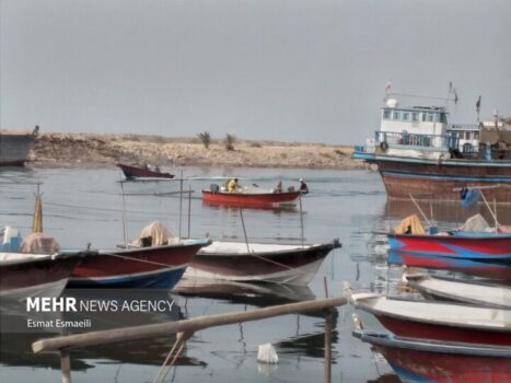 «دریابست» در استان بوشهر؛ ممنوعیت صید برای حفظ ذخائر آبزیان