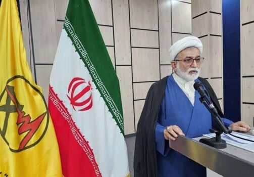 مدیرعامل توانیر از تأسیسات برق جنوب کشور بازدید کرد