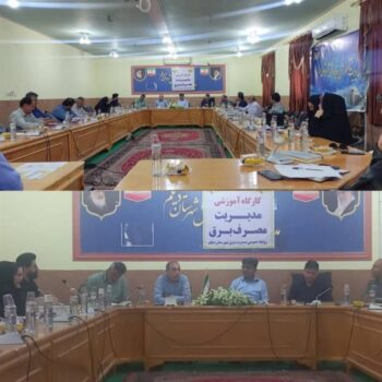 هماندیشی در دیلم برای مدیریت مصرف برق در تابستان