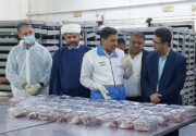 ذبح ۱۰۰۰ راس دام برای نیازمندان بوشهری در عید قربان