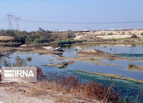 عالیشهر بوشهر؛ نشسته بر سفره فاضلاب