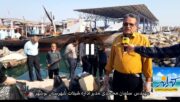 “شاید روزی ماهی شدم”: مستندی از تلاش بوشهری‌ها برای نجات خلیج فارس