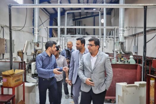 صنایع نوآور گناوه؛ الگویی برای رونق تولید در سواحل بوشهر