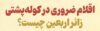 اینفوگرافیک/ اقلام ضروری در کوله‌پشتی زائر اربعین چیست؟