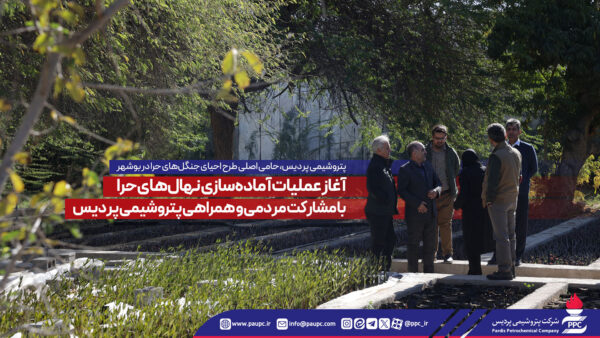 پتروشیمی پردیس، جنگلهای حرا را احیا میکند.