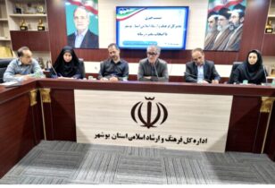 مجوز موسسات چند منظوره فرهنگی در بوشهر ۴ ماه زودتر صادر می‌شود